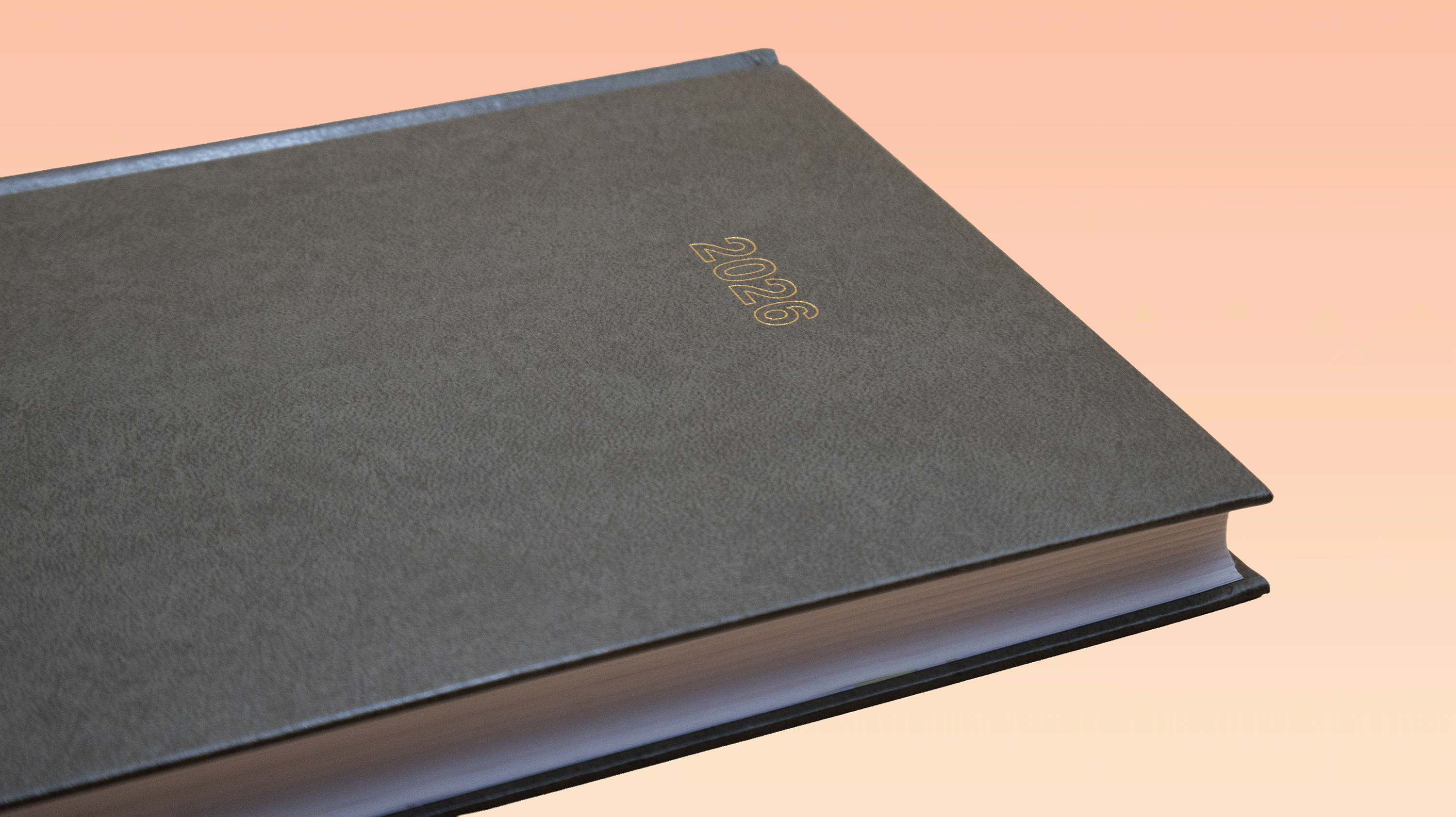 eagle Perfect Diary olive 2026