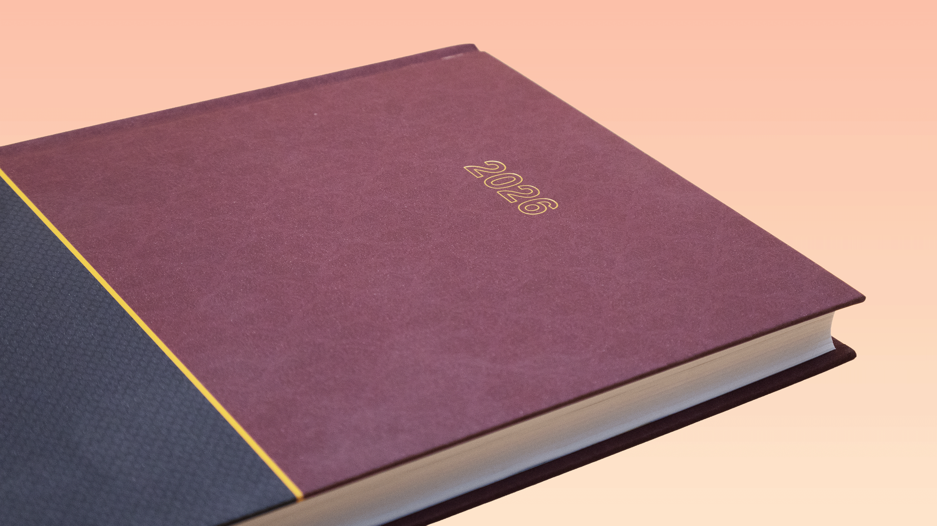 eagle Perfect Diary HBA Dual tone 2026