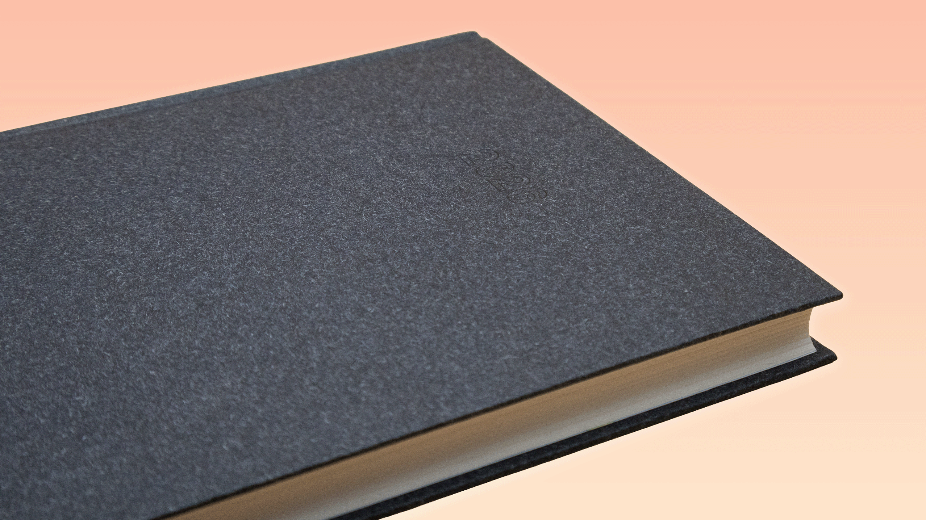 eagle Perfect Diary 2026 HBD blue