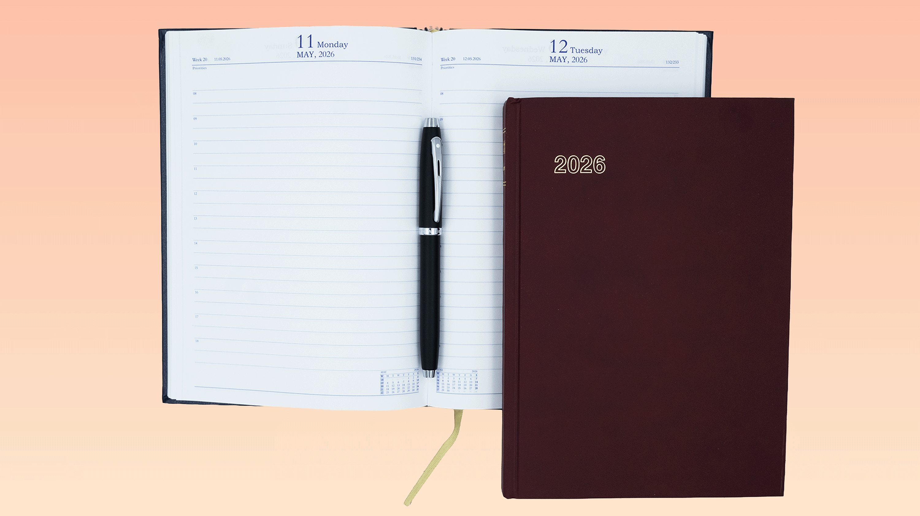 eagle Span Diary 2026