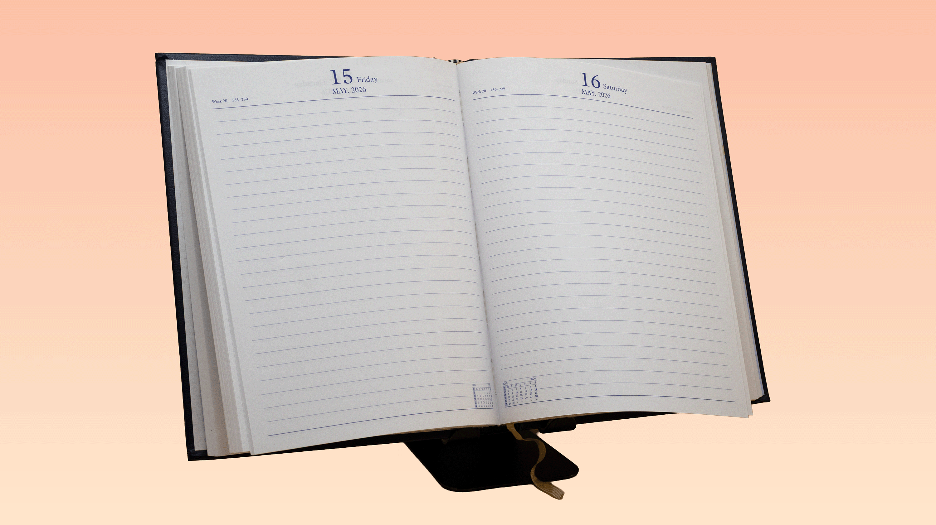 eagle Project Diary blue 2026