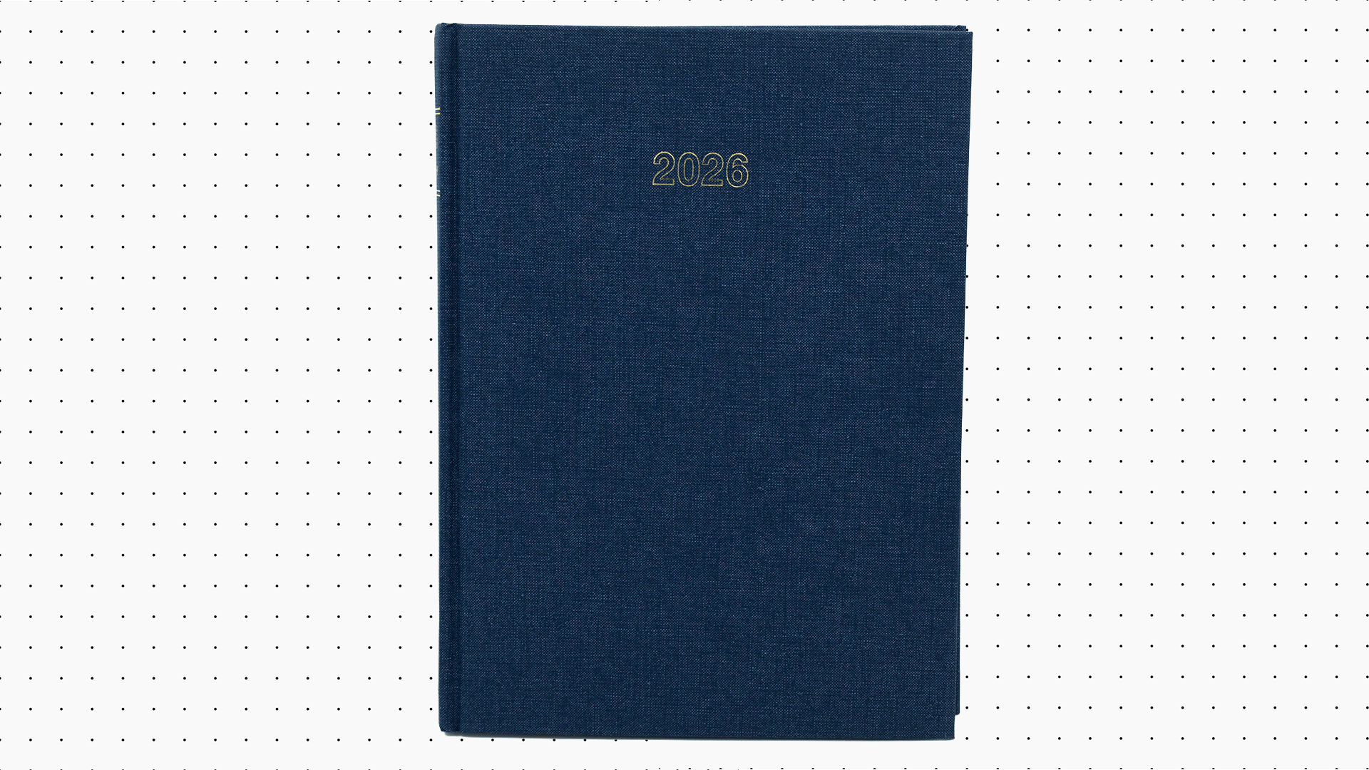 eagle Perfect Diary HBX Mesh 2026