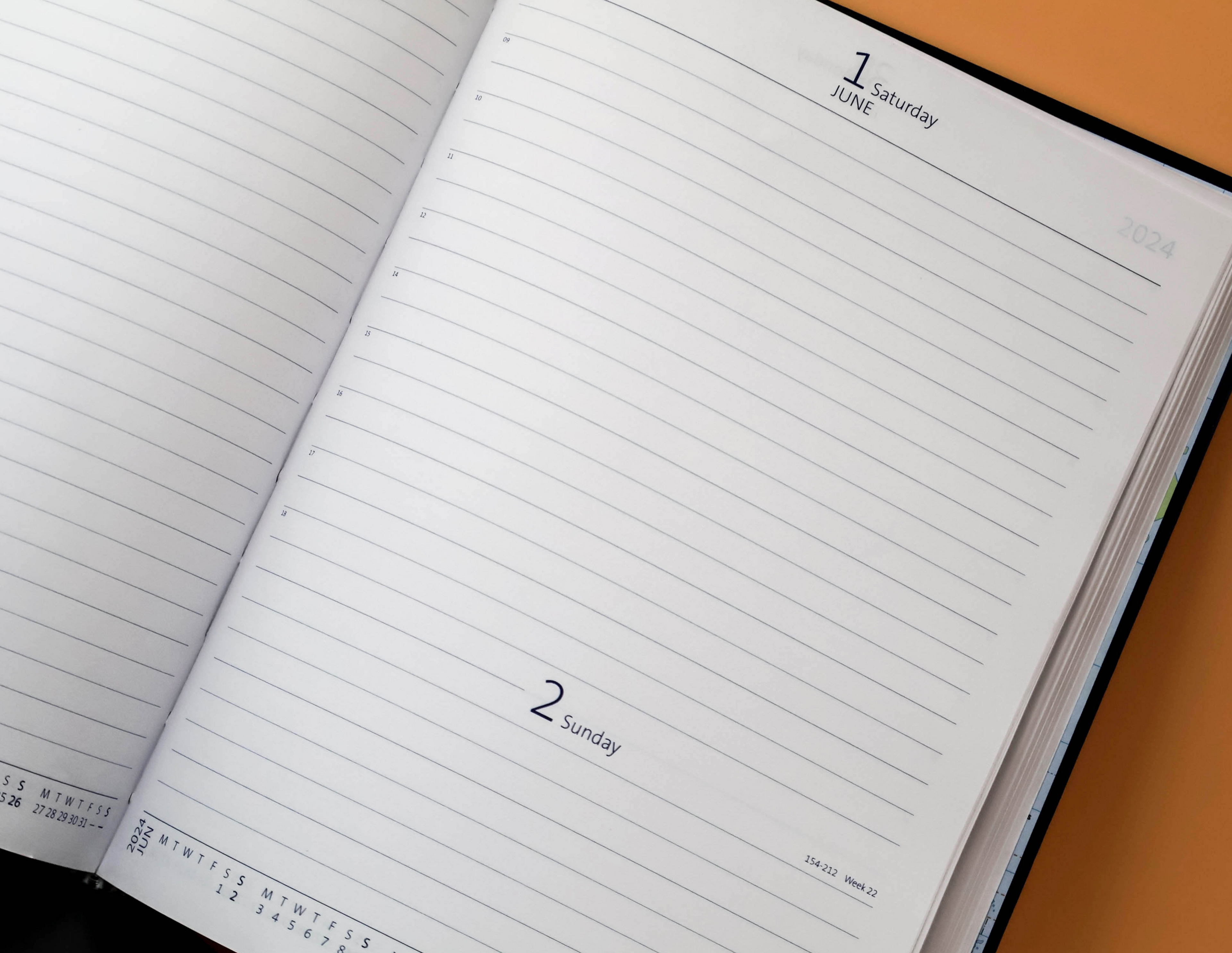 eagle Perfect Diary 2025