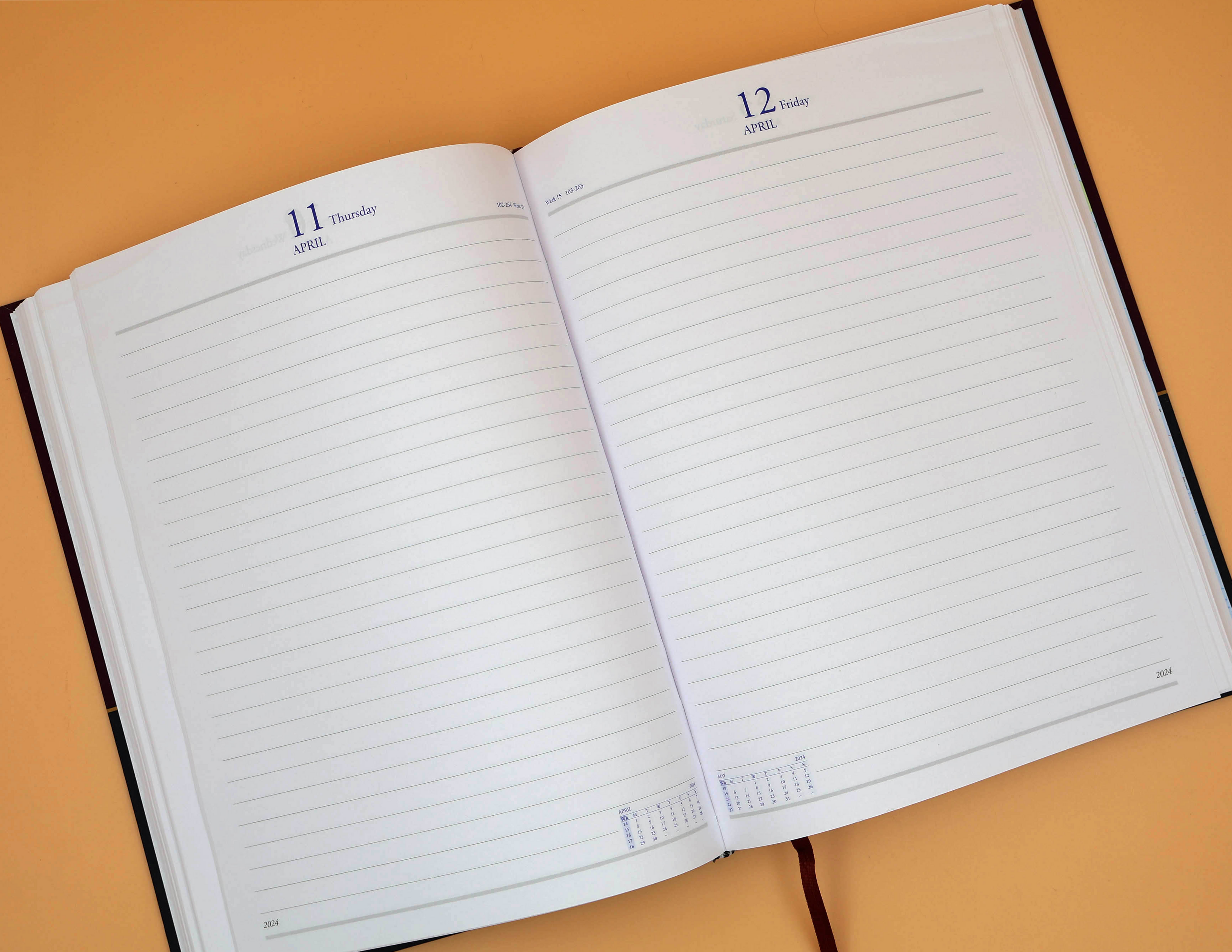 eagle Perfect Diary 2025